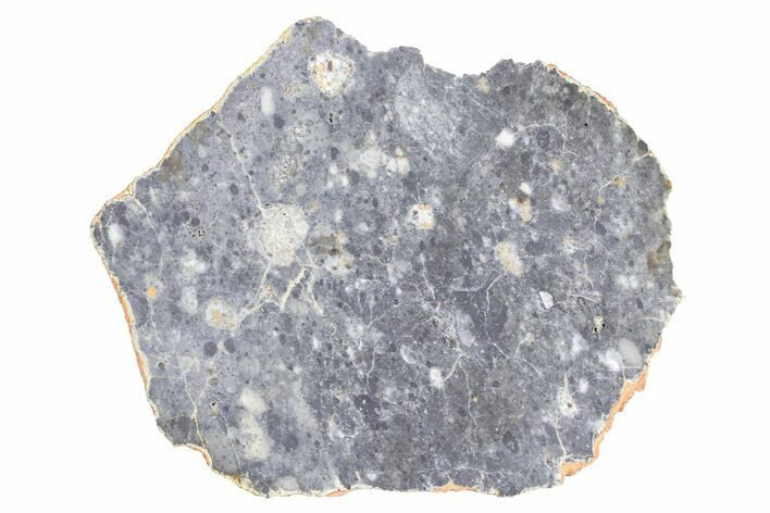 Lunar Meteorite ( g) Slice - Bechar #381611